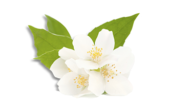 flor de azahar neropur de sabipur